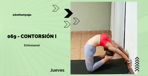 069 Jueves CONTORSIÓN I (Ustrasana)